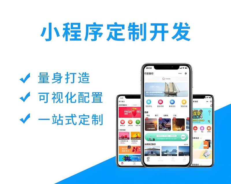 数据管理系统开发